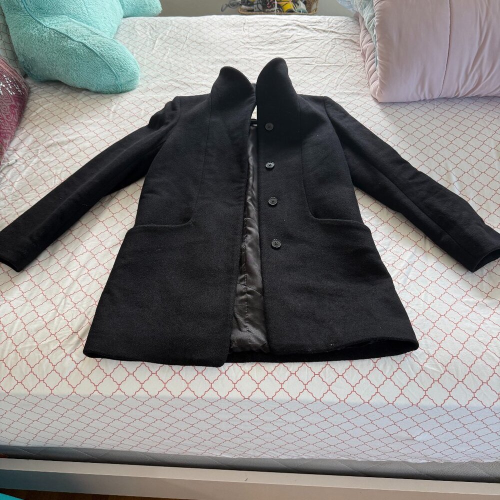 Aritzia Winter Coat